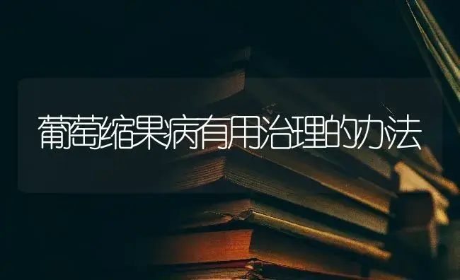 葡萄缩果病有用治理的办法 | 果木种植