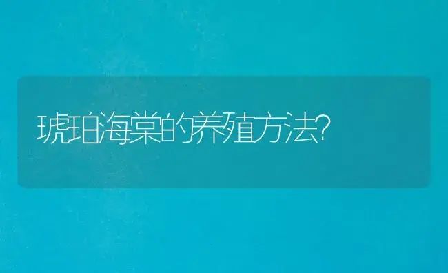 琥珀海棠的养殖方法？ | 绿植常识