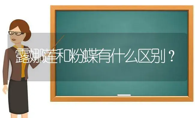 三国群英传8幻想之圣战版怎么刷龙炮？ | 多肉养殖