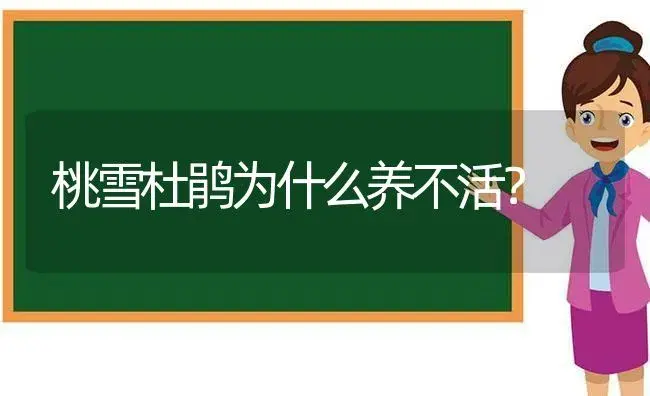 桃雪杜鹃为什么养不活？ | 绿植常识