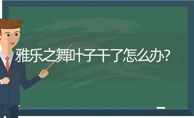 雅乐之舞叶子干了怎么办？ | 多肉养殖