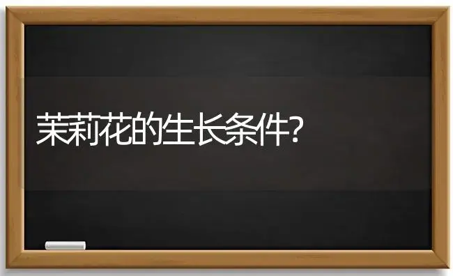 茉莉花的生长条件？ | 绿植常识