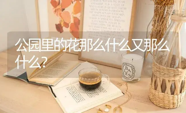 公园里的花那么什么又那么什么？ | 绿植常识