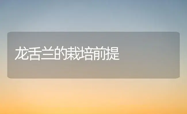 龙舌兰的栽培前提 | 家庭养花