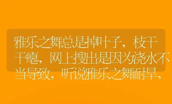 雅乐之舞总是掉叶子,枝干干瘪,网上搜出是因为浇水不当导致,听说雅乐之舞耐旱,我就对它进行了控水？ | 多肉养殖