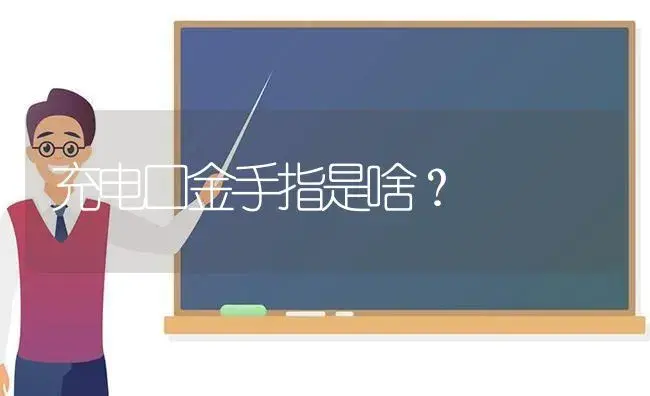 充电口金手指是啥？ | 多肉养殖