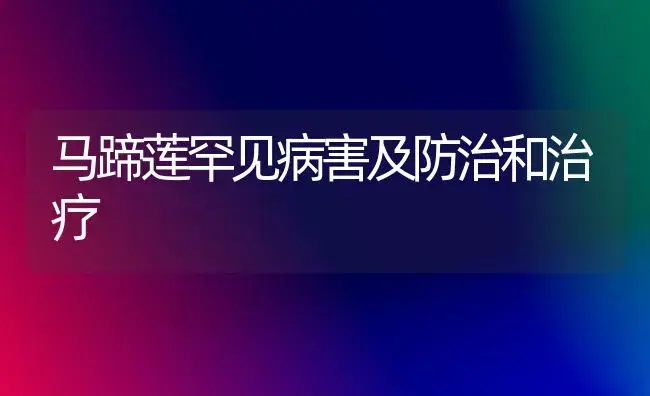 马蹄莲罕见病害及防治和治疗 | 家庭养花