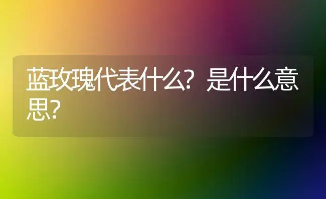 蓝玫瑰代表什么?是什么意思？ | 绿植常识