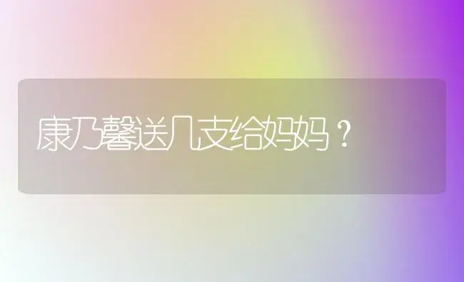 康乃馨送几支给妈妈？ | 绿植常识