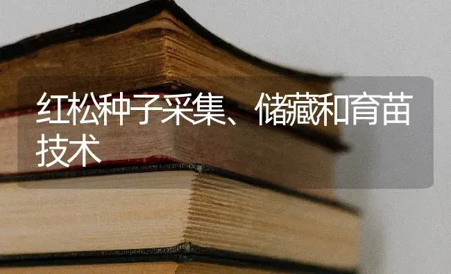 红松种子采集、储藏和育苗技术 | 特种种植