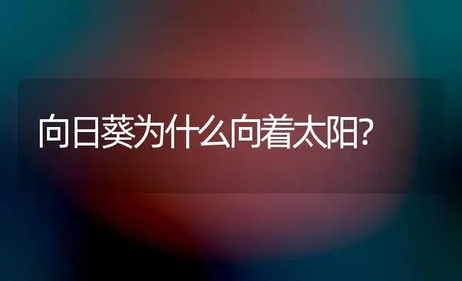 向日葵为什么向着太阳？ | 农作物种植