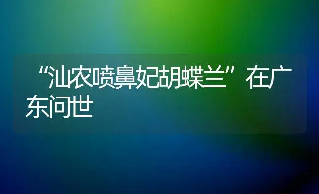 “汕农喷鼻妃胡蝶兰”在广东问世 | 家庭养花