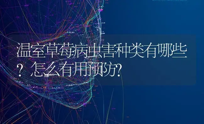 龙眼怎样施肥？龙眼施肥关键技术 | 果木种植