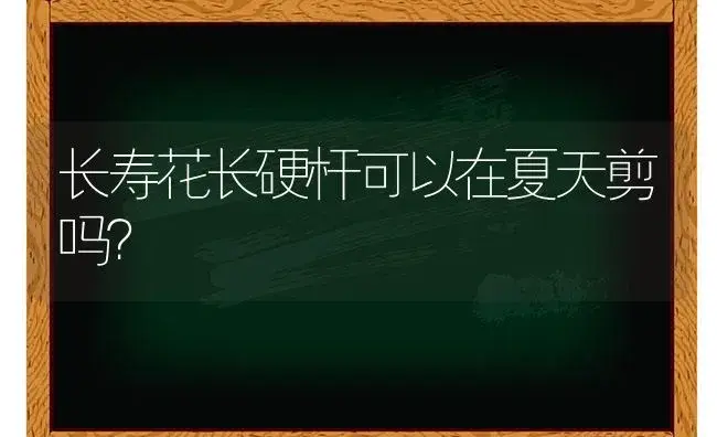 长寿花长硬杆可以在夏天剪吗？ | 多肉养殖