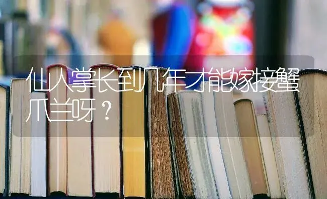 仙人掌长到几年才能嫁接蟹爪兰呀？ | 多肉养殖