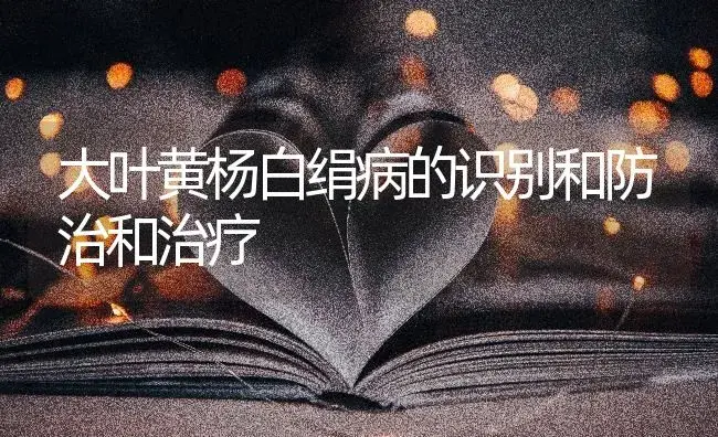 大叶黄杨白绢病的识别和防治和治疗 | 特种种植