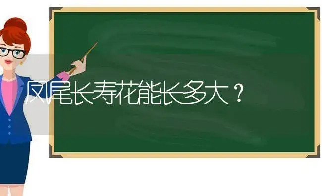 凤尾长寿花能长多大？ | 多肉养殖