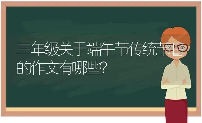 三年级关于端午节传统节日的作文有哪些？ | 多肉养殖