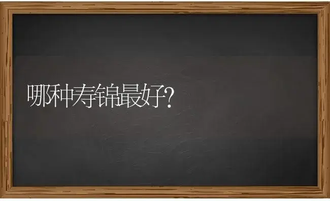 哪种寿锦最好？ | 多肉养殖