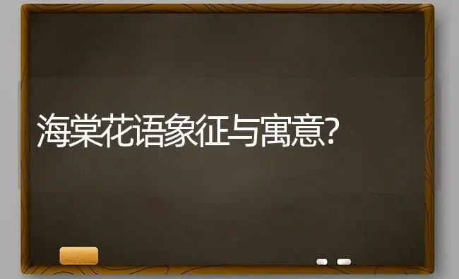 海棠花语象征与寓意？ | 绿植常识