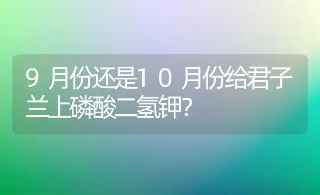 9月份还是10月份给君子兰上磷酸二氢钾？ | 绿植常识