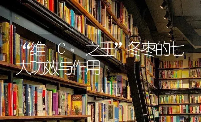 “维 C 之王”冬枣的七大功效与作用 | 果木种植