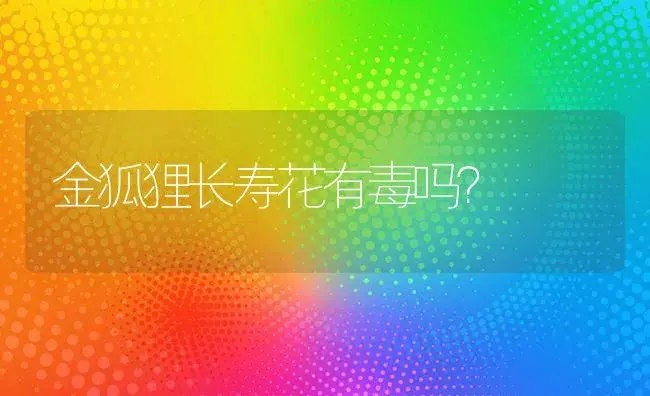 金狐狸长寿花有毒吗？ | 多肉养殖