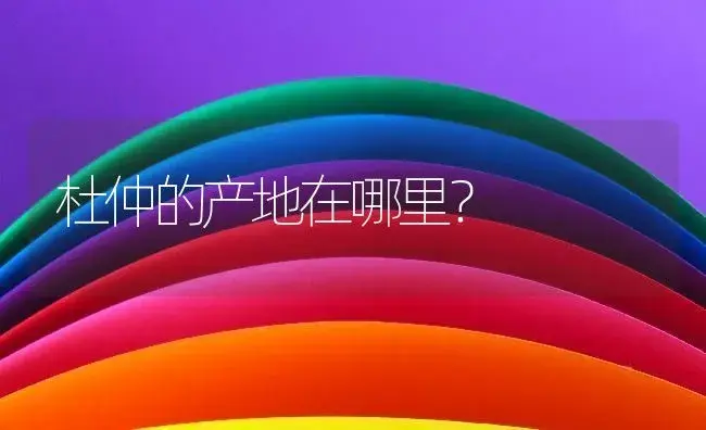 杜仲的产地在哪里？ | 药材种植