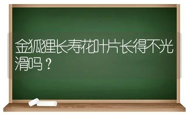 金狐狸长寿花叶片长得不光滑吗？ | 多肉养殖