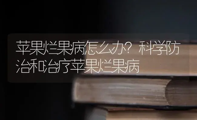 苹果烂果病怎么办？科学防治和治疗苹果烂果病 | 果木种植