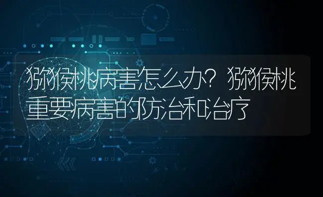 猕猴桃病害怎么办？猕猴桃重要病害的防治和治疗 | 果木种植