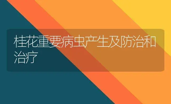 桂花重要病虫产生及防治和治疗 | 家庭养花