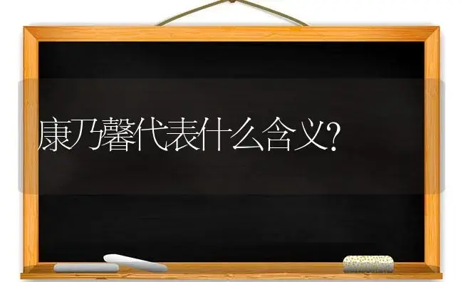 康乃馨代表什么含义？ | 绿植常识