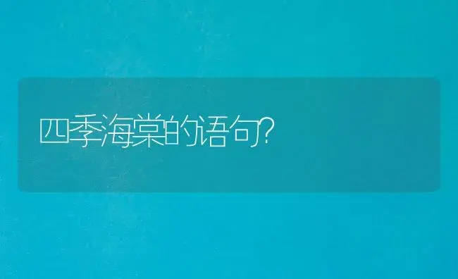 四季海棠的语句？ | 绿植常识