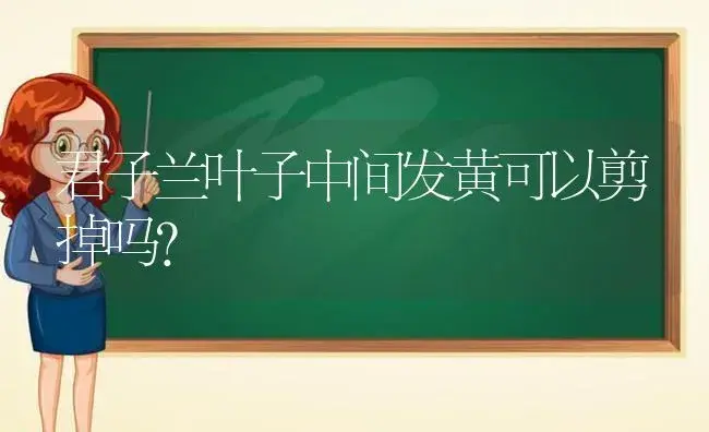 君子兰叶子中间发黄可以剪掉吗？ | 绿植常识