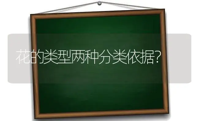 花的类型两种分类依据？ | 多肉养殖