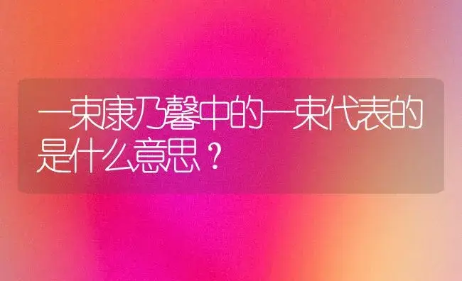 一束康乃馨中的一束代表的是什么意思？ | 绿植常识