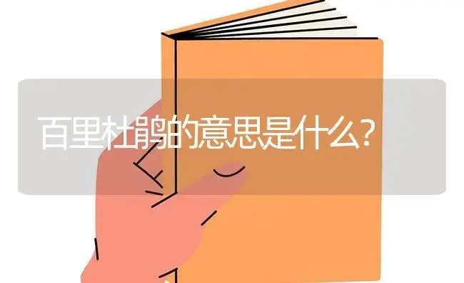 百里杜鹃的意思是什么？ | 绿植常识