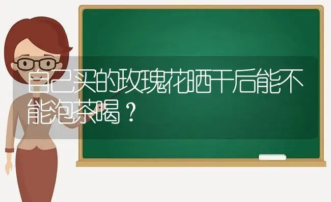 自己买的玫瑰花晒干后能不能泡茶喝？ | 绿植常识