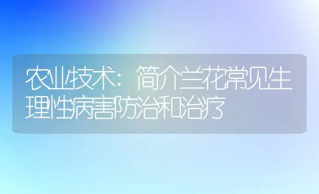 农业技术:简介兰花常见生理性病害防治和治疗 | 家庭养花