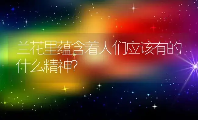 兰花里蕴含着人们应该有的什么精神？ | 绿植常识