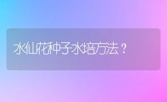 三色堇什么时候暴露的？ | 绿植常识