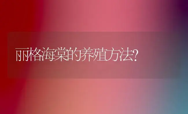 丽格海棠的养殖方法？ | 绿植常识