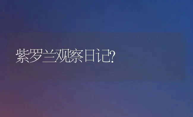 紫罗兰观察日记？ | 绿植常识