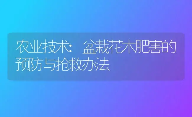 农业技术:盆栽花木肥害的预防与抢救办法 | 家庭养花