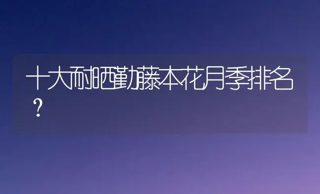 十大耐晒勤藤本花月季排名？ | 绿植常识