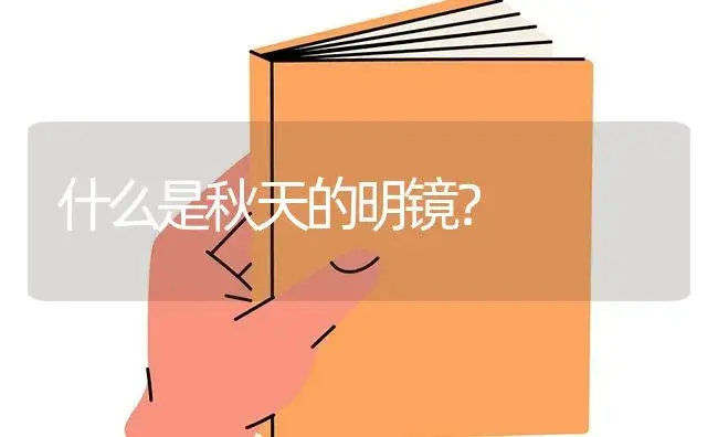 什么是秋天的明镜？ | 多肉养殖