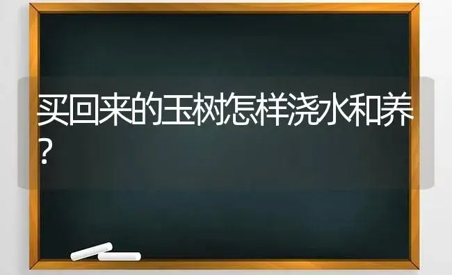 买回来的玉树怎样浇水和养？ | 多肉养殖