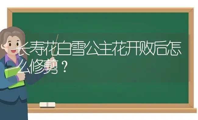 长寿花白雪公主花开败后怎么修剪？ | 多肉养殖