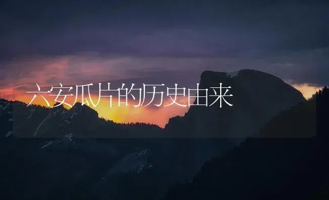 六安瓜片的历史由来 | 农作物种植